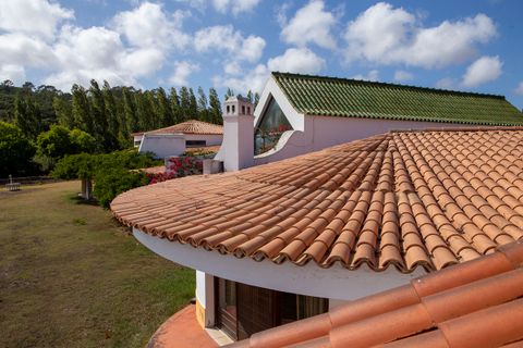 Farm i Obidos, Leiria, Obidos - € 4.500.000 | Ref: MM002410 - foto 6